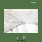 খাদি মটকা বাপ্তা প্রিন্ট CKMV-258